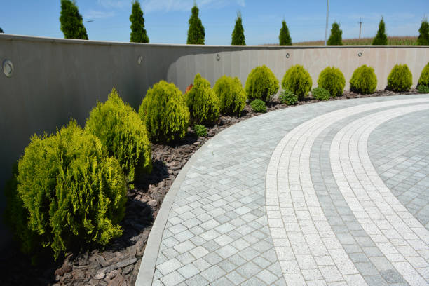 Best Local Driveway Pavers  in Anza, CA