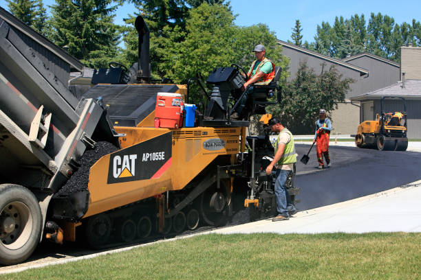 Best Driveway Paving Contractor  in Anza, CA